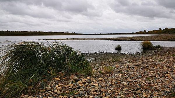 Река в российском регионе превратилась в «тягучий мазут»